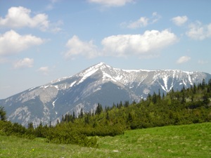 Ausblick vom Raxplateau auf den Schneeberg.jpg