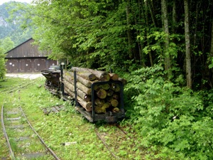 Waldbahn, Nasswald.jpg